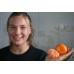 ALFOURER MANDARINS 1KG Bag (MEDIUM SIZE) NORTHLAND Grown ALFOURER MANDARINS 1KG Bag (MEDIUM SIZE) NORTHLAND Grown